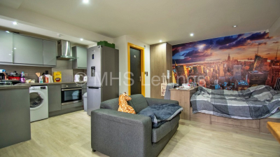 Thumbnail photo of 1 Bedroom Flat in 42b Beechwood Crescent, Leeds, LS4 2LL