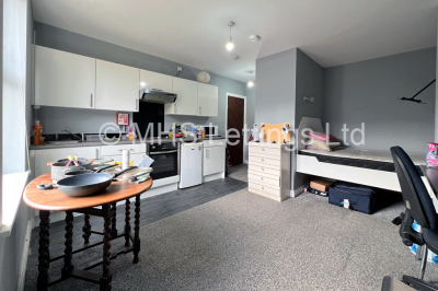 Thumbnail photo of 1 Bedroom Bedsit in Studio 5, 4 Midland Road, Leeds, LS6 1BQ